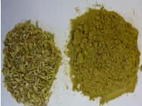 Fennel seeds and ground fennel