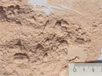 Kalisalz zerkleinert mit der Rotor-Schnellmühle unter Verwendung des 0,08 mm Siebes